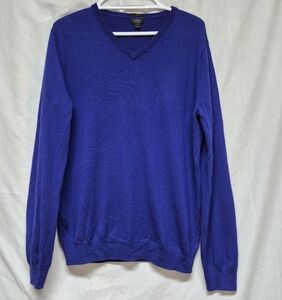 JCrew Mens Royal Blue V-Neck Sweater Merino Wool Long Sleeve Size Large Slim  A3